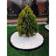 Садовый бордюр ГеоПластБорд «манго» 38 мм, коричневый, 10 метров