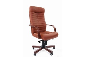 Офисное кресло Chairman 480 WD, экопремиум 111, коричневый
